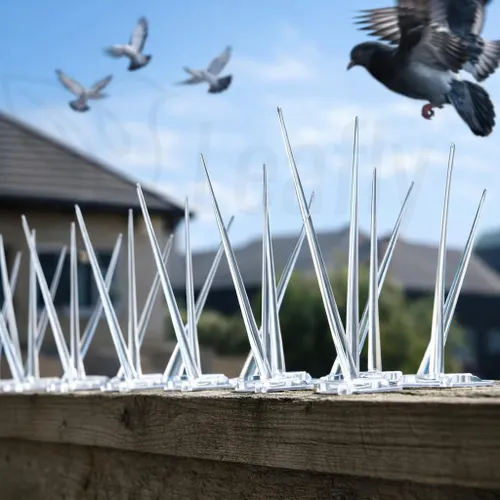 Bird spike installation